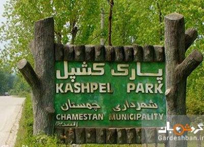 پارک جنگلی کشپل؛طبیعتی توریستی در مازندران، عکس