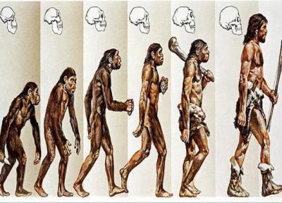 ما انسان ها اینگونه تکامل پیدا کردیم (عکس)