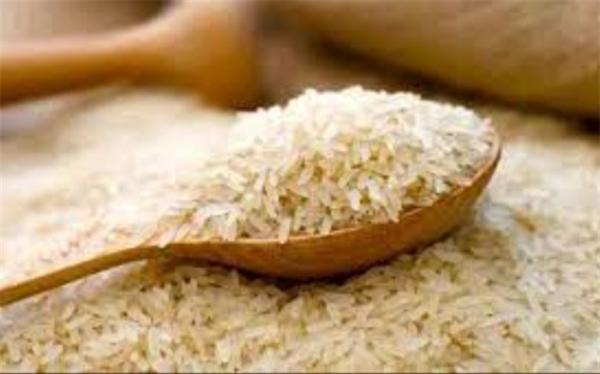 فرایند افزایش قیمت برنج در یک سال اخیر به روایت اینفوگرافیک