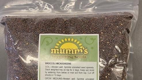 بذر کلم بروکلی با نام تجاری Mumms Sprouting Seeds به دلیل آلودگی به سالمونلا جمعآوری شد