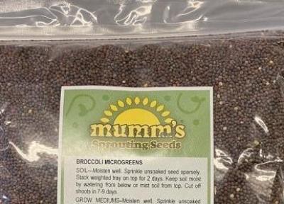 بذر کلم بروکلی با نام تجاری Mumms Sprouting Seeds به دلیل آلودگی به سالمونلا جمعآوری شد