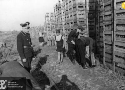 عکس های منتشر نشده از قیام ورشو؛ حقیقتی که هیتلر سعی کرد پنهان کند
