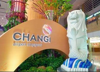 تور سنگاپور: جاذبه های گردشگری فرودگاه چانگی سنگاپور، برترین فرودگاه جهان!