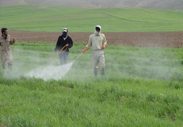 مقدار مصرف سموم در محصولات کشاورزی ایران چقدر است؟