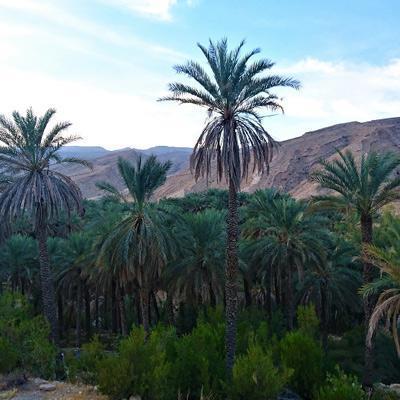بناب، روستایی در دل کوهستان های هرمزگان بناب، روستایی در دل کوهستان های هرمزگان