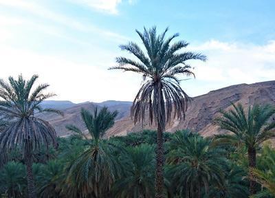 بناب، روستایی در دل کوهستان های هرمزگان