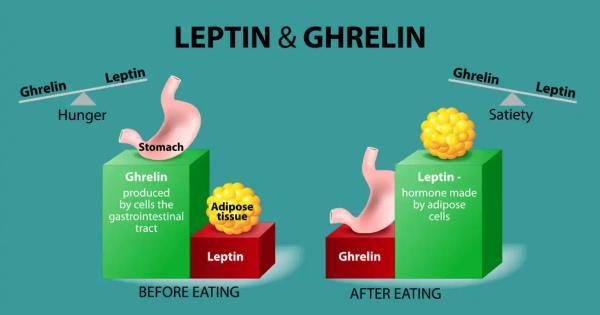 15 حقیقت علمی درباره هورمون های گرلین و لپتین که کنترل اشتهای شما را در دست دارند